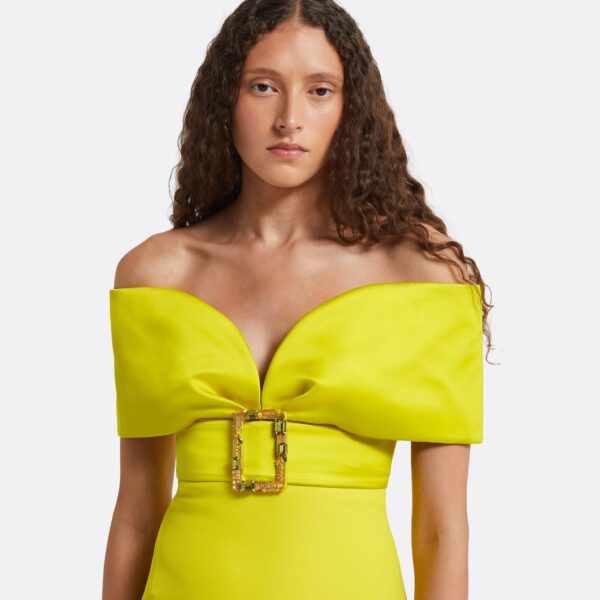 Safiyaa Abike Chartreuse Long Dress, view 4