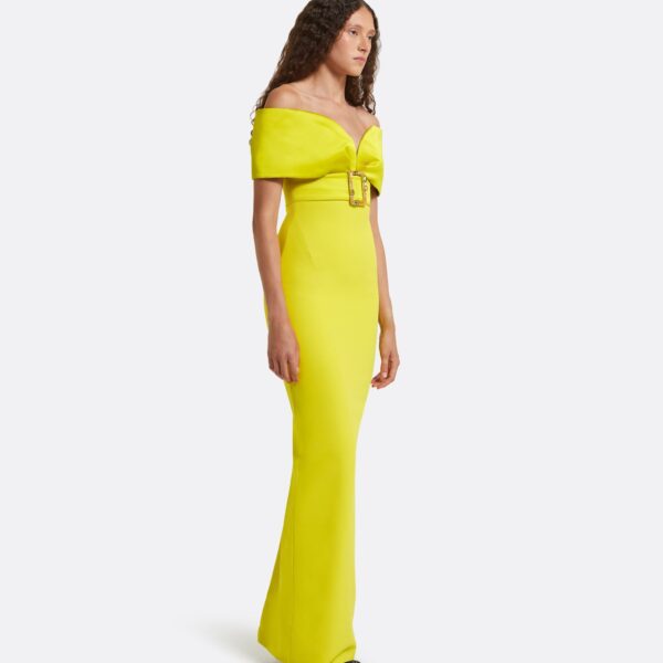 Safiyaa Abike Chartreuse Long Dress, view 5