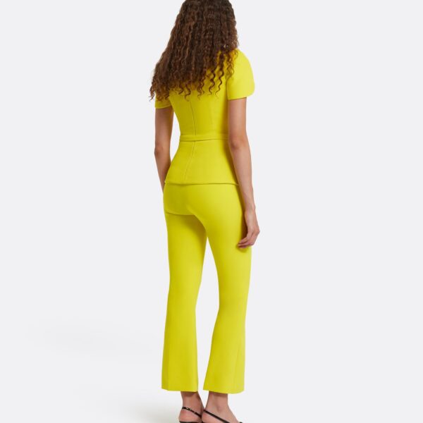 Safiyaa Amelie Chartreuse Top, view 3