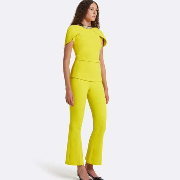 Safiyaa Amelie Chartreuse Top, view 5