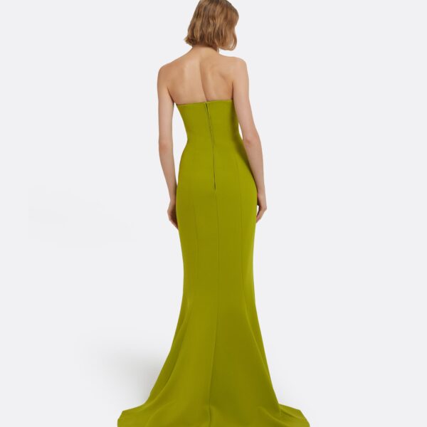 Safiyaa Angelina Long Dress in Woodbine, view 3