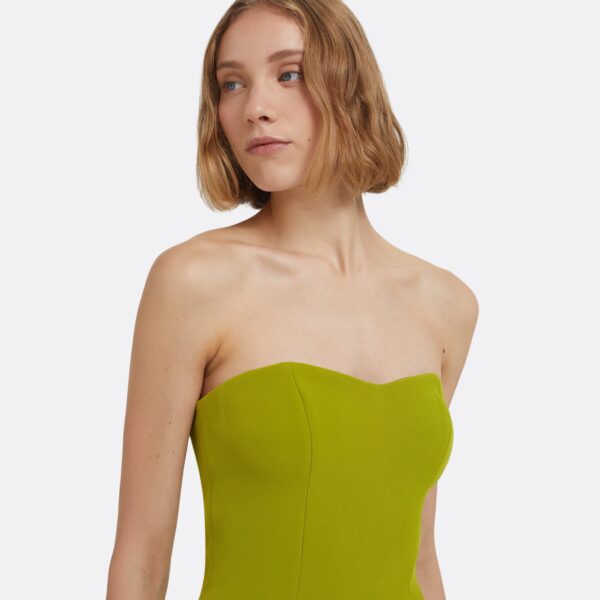 Safiyaa Angelina Long Dress in Woodbine, view 4
