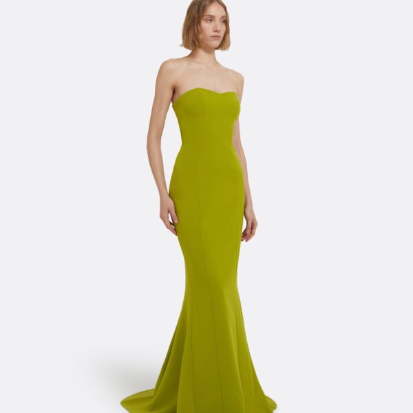 Safiyaa Angelina Long Dress in Woodbine, view 5
