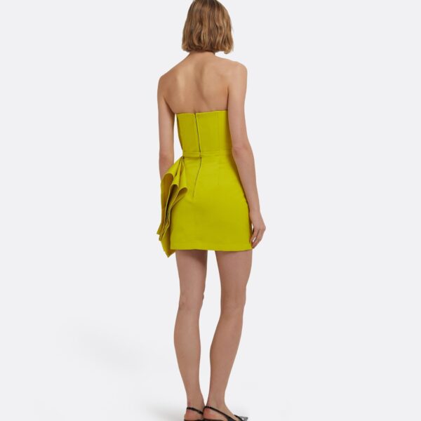 Safiyaa Belgin Short Dress in Chartreuse, view 3