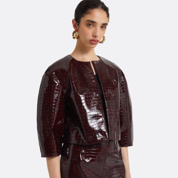 Safiyaa Garip Burgundy Jacket, view 4