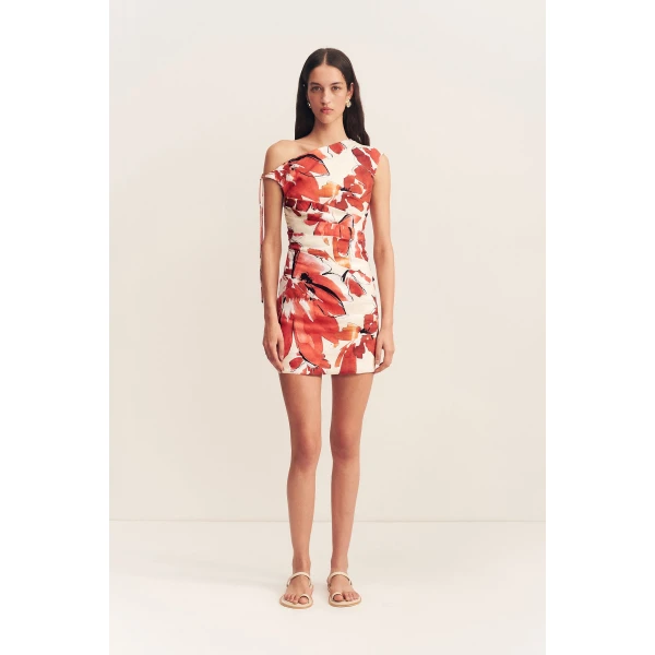 Shona Joy Dresses