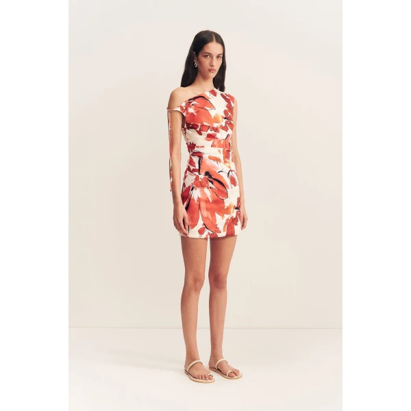 Shona Joy Dresses