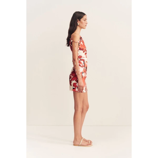 Shona Joy Dresses