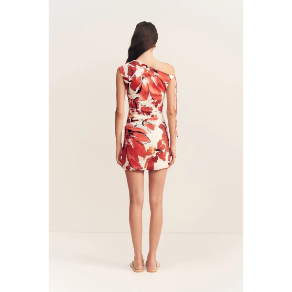 Shona Joy Dresses