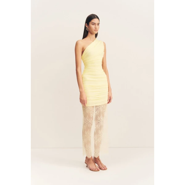 Shona Joy Dresses