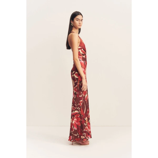 Shona Joy Dresses