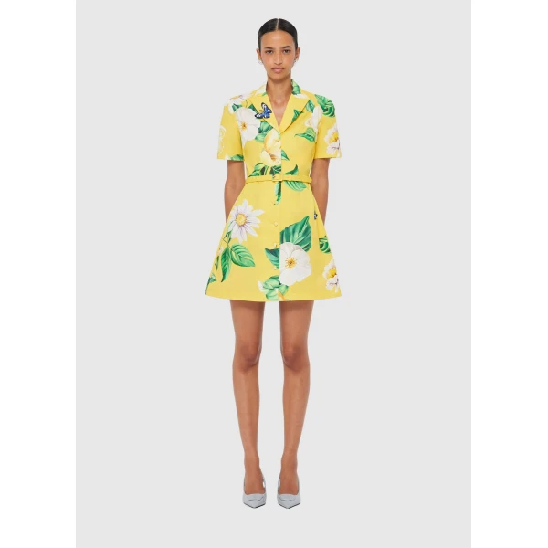 leo lin dress