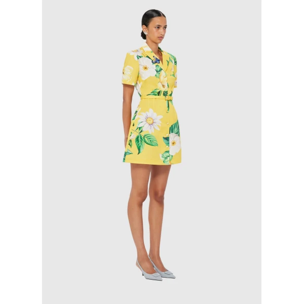 leo lin dresses