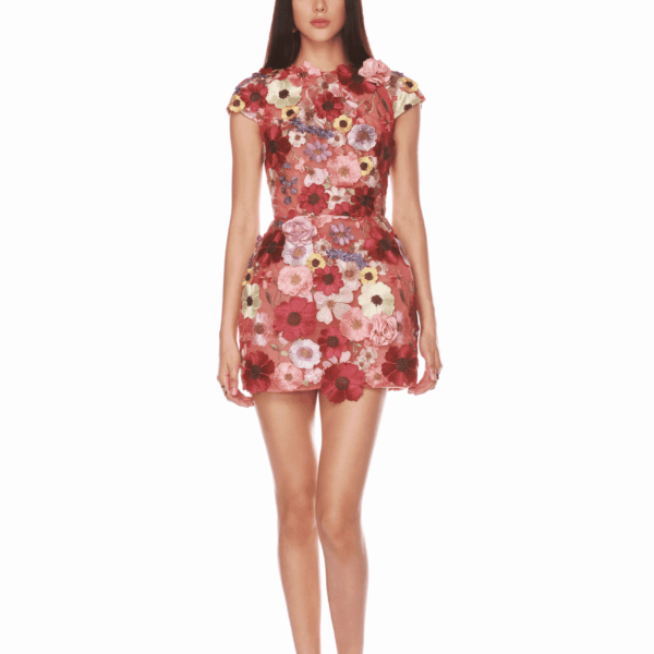 Bronx and Banco Jasmine Capsleeve Red Multi Mini Dress, view 2
