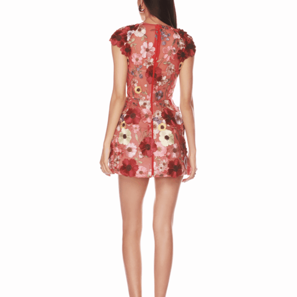 Bronx and Banco Jasmine Capsleeve Red Multi Mini Dress, view 4