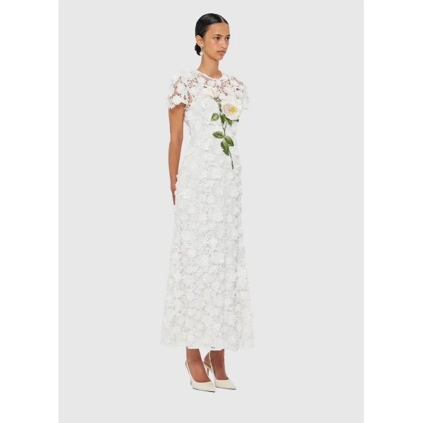 leo lin dresses