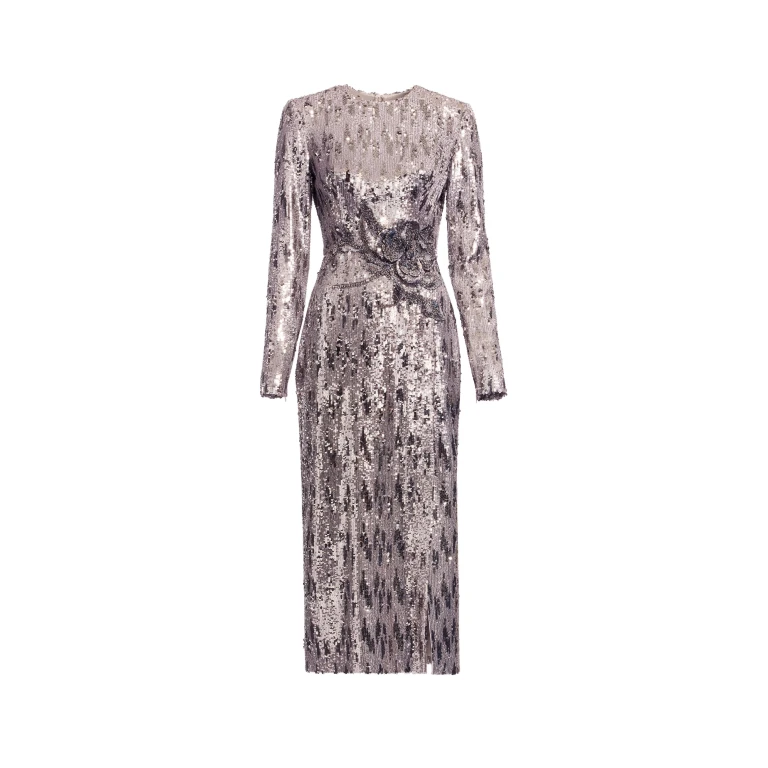 Elie Saab Embellished Sequins Long Dress in Silver featuring Floral Applique on Sequins – Luxury Designer Fashion at Luxury Shoes .