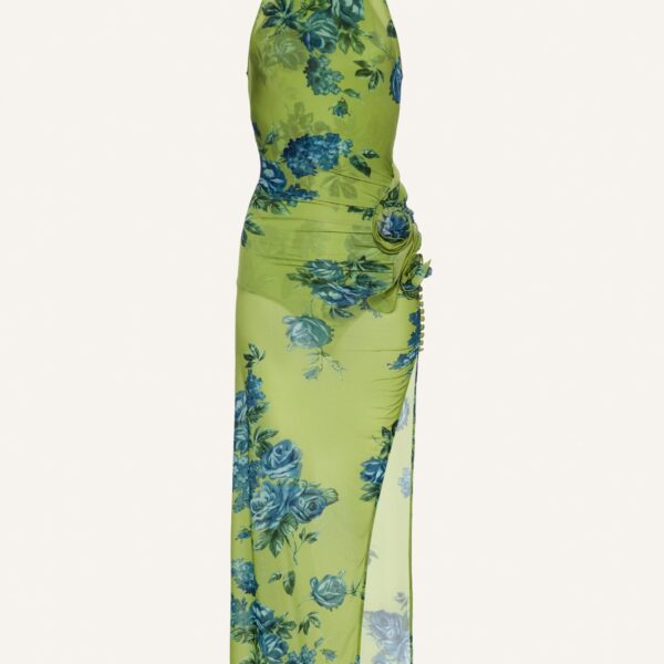 Magda Butrym dress