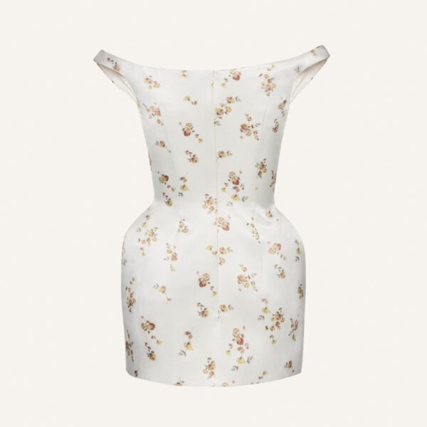 Magda Butrym dress