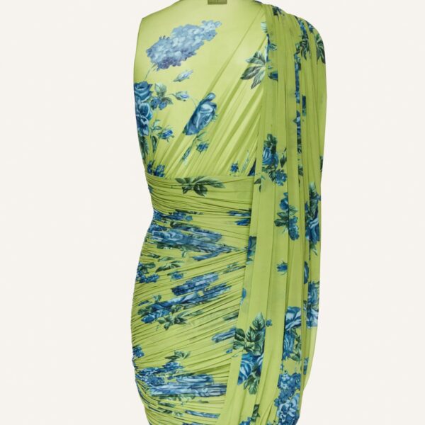 Magda Butrym dress