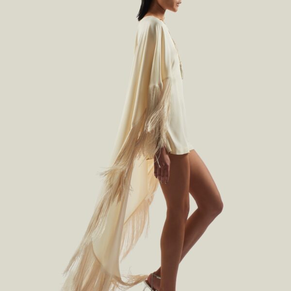 carpet Taller Marmo gown with feather detail – Luxury Shoes 