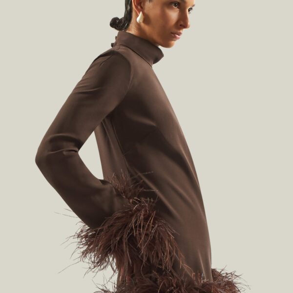 carpet Taller Marmo gown with feather detail – Luxury Shoes 