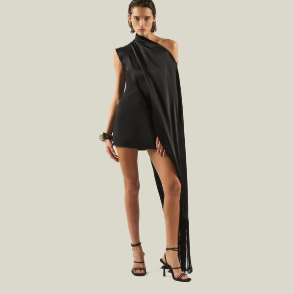 Luxury Taller Marmo dress in satin with feather trim – shop Luxury Shoes 