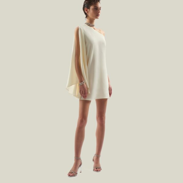 Luxury Taller Marmo dress in satin with feather trim – shop Luxury Shoes 