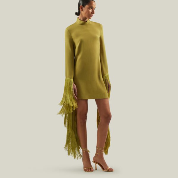 Luxury Taller Marmo dress in satin with feather trim – shop Luxury Shoes 