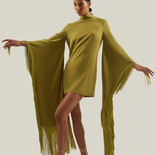 carpet Taller Marmo gown with feather detail – Luxury Shoes 