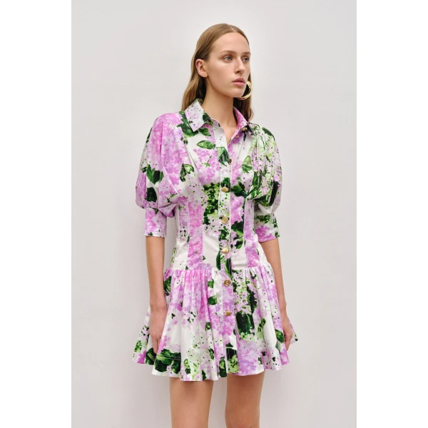 Alexa Mini Dress