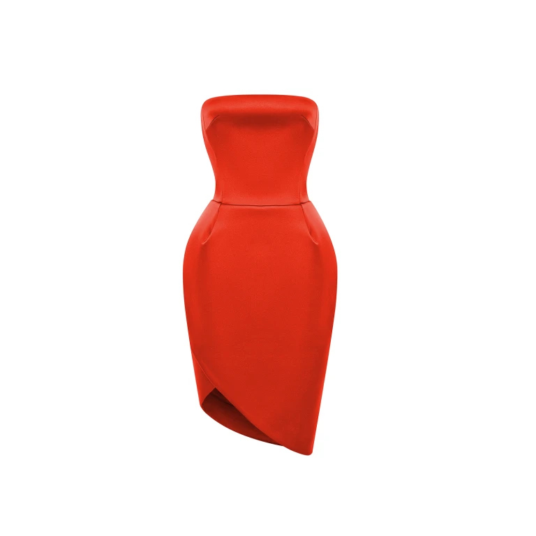 Rasario Mini Dress – couture evening dress