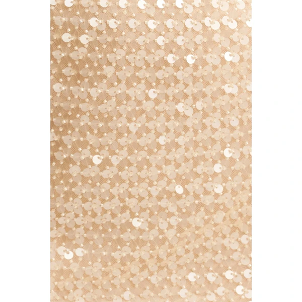 Long sleeve top in a macadamia sequin and bead embellished mesh.