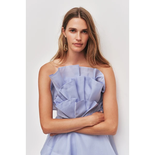 Selestia Gown