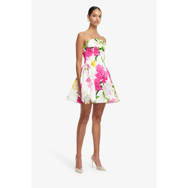 Premium silk-linen printed mini dress