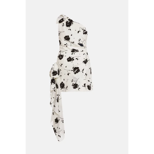 Rose Print Mini Dress