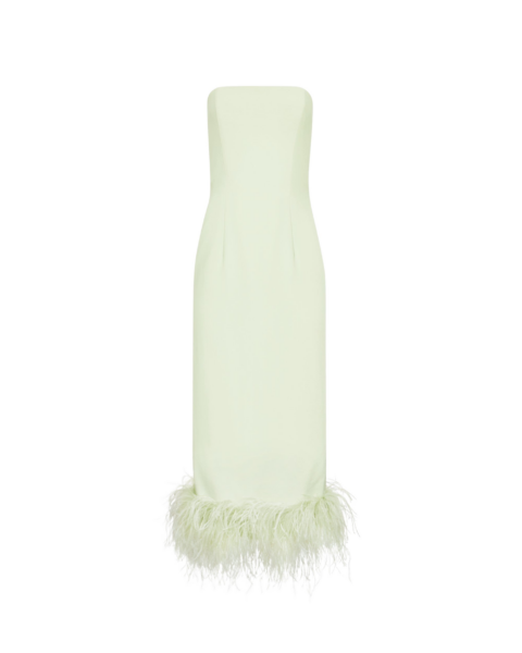 Elevate your elegance in this 16Arlington  from the luxury feather dress edit