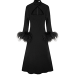 Elevate your elegance in this 16Arlington  from the luxury feather dress edit