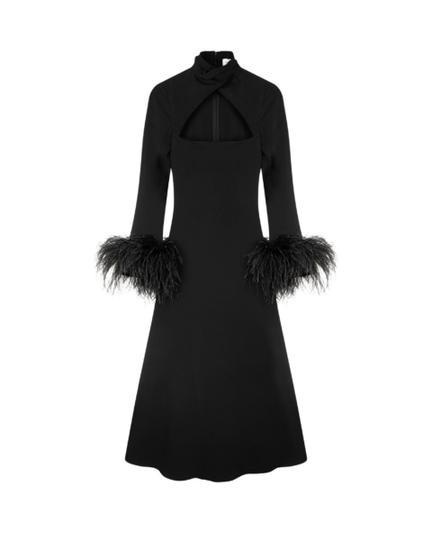 Elevate your elegance in this 16Arlington  from the luxury feather dress edit