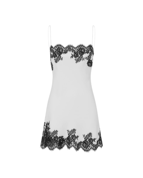 Alex Perry Dresses