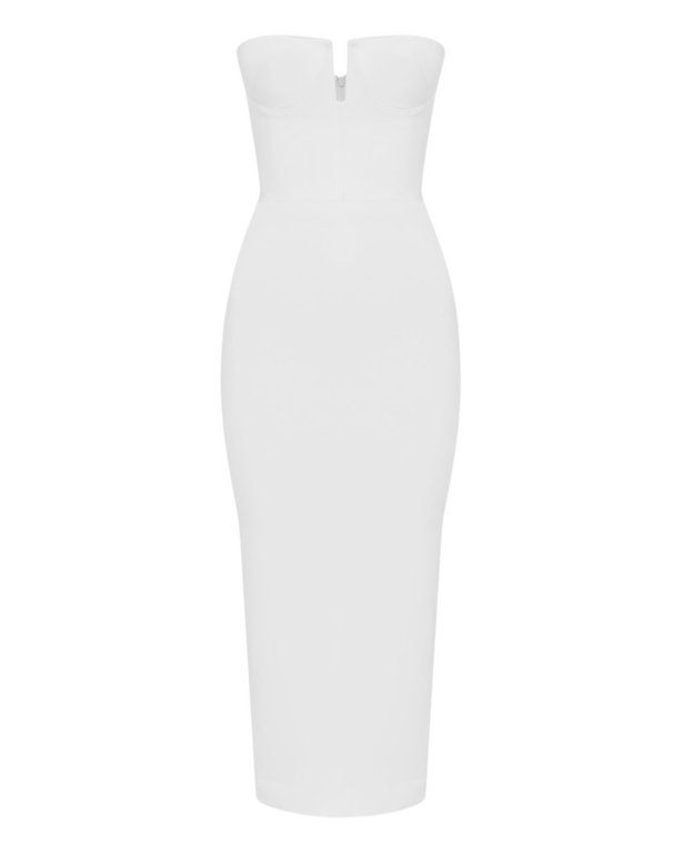 Alex Perry Dresses
