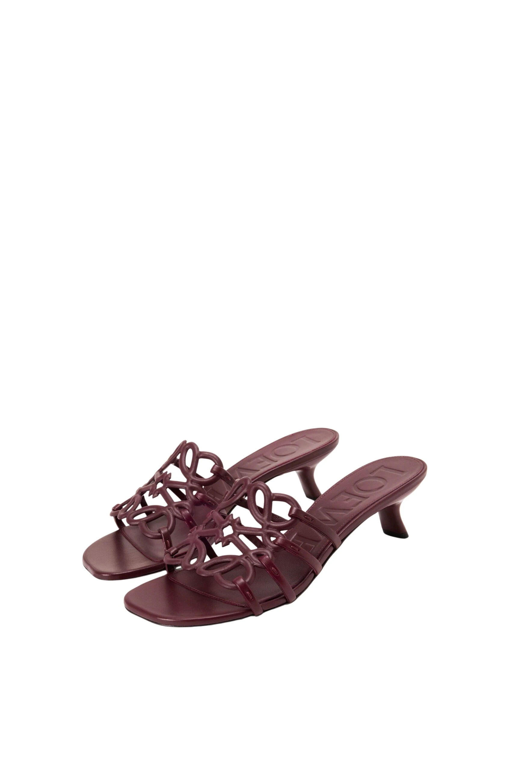 LOEWE-Petal-Anagram-Slide-In-Soft-Calfskin-2025-coveti-4-scaled27005_nobg coveti