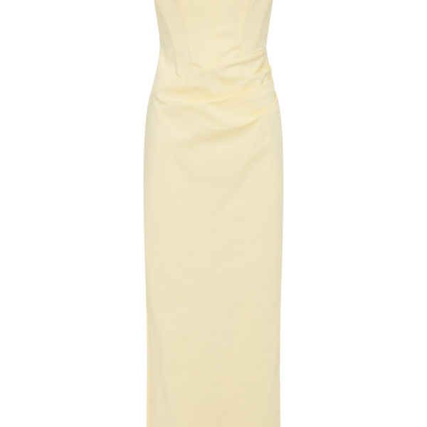 Shona Joy Lani Strapless Corset Maxi Dress – Sgroppino