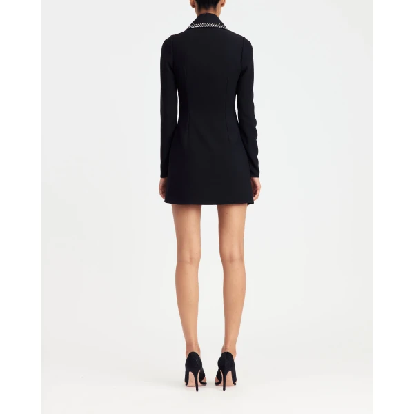 Elevate your elegance in this 16Arlington  from the luxury feather dress edit