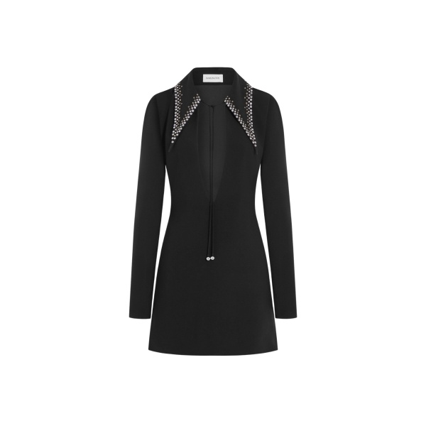 Elevate your elegance in this 16Arlington  from the luxury feather dress edit