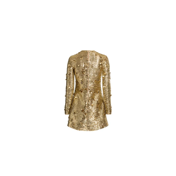 Elie Saab Bead Embroidered Golden Dress in Gold featuring  – Luxury Designer Fashion at Luxury Shoes .