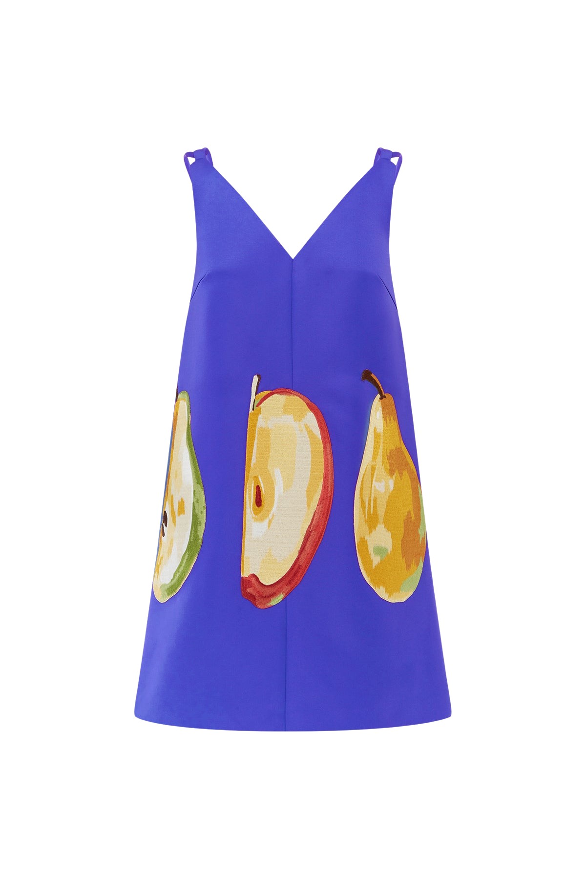 Leo Lin Taylor Embroidered Mini Dress