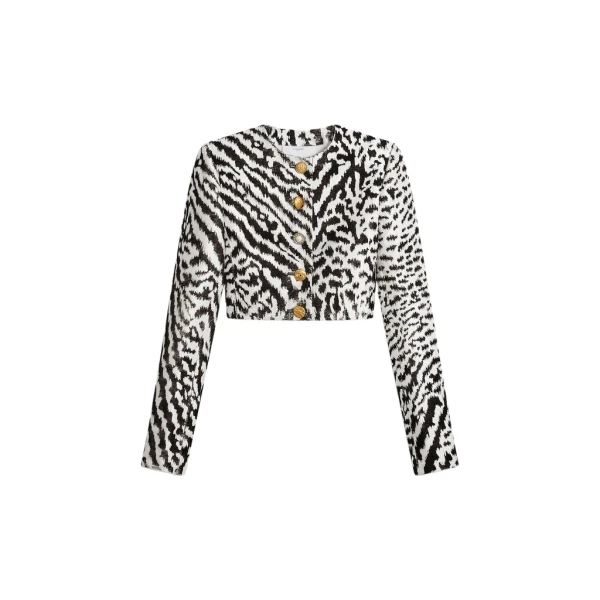 Schiaparelli Animal Print Collarless Short Jacket Jackets in Schiaparelli Authentic Luxury Fashion at Luxury Shoes 