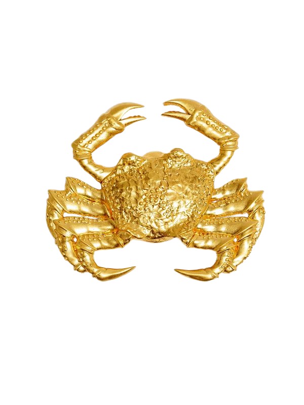 Schiaparelli Cancer Brooch