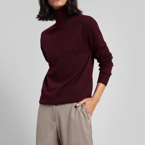 The Frankie Shop Eve Thin Turtleneck Sweater – Burgundy, view 3